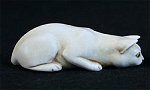 Cat Ivory